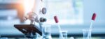 Featured image for “Early Clinical Trial Shows Drug Activity to Work in Patients with Acral and Mucosal Melanoma”