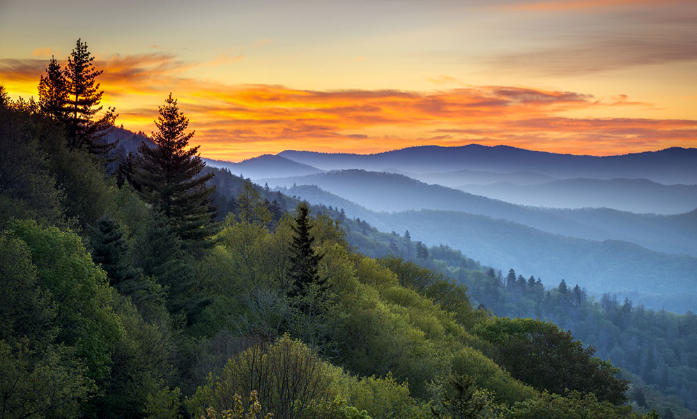 Featured image for “Melanoma By The State:  Tennessee”