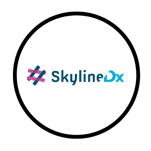 skyline-dx-logo