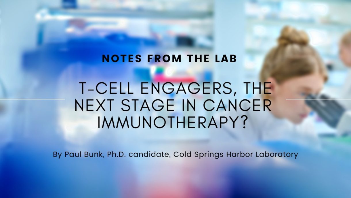 Featured image for “Notes from the Lab: T-Cell Engagers, the Next Stage in Cancer Immunotherapy?”