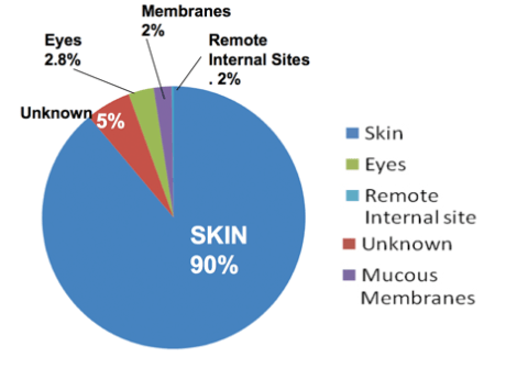 where-melanomas-start-most-melanomas-occur-on-the-skin